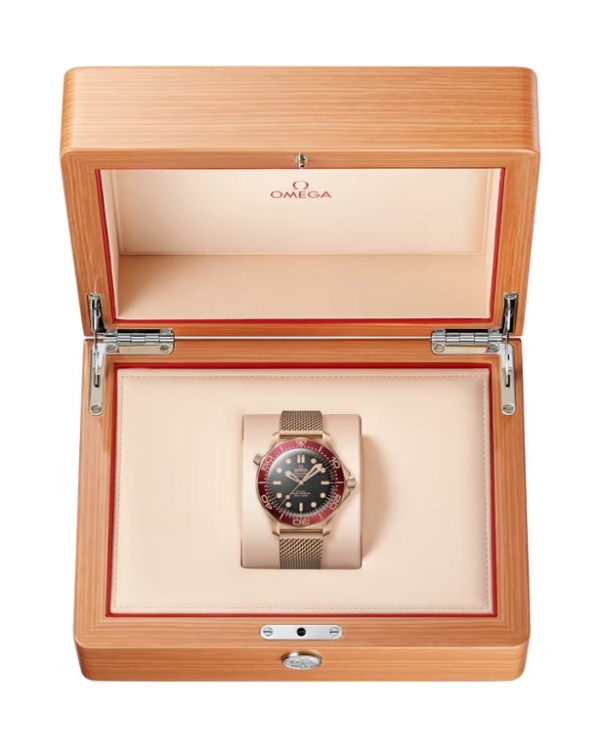SEAMASTER DIVER 300M - Image 4
