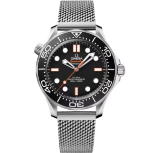 Seamster Diver 300M